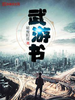 武游书