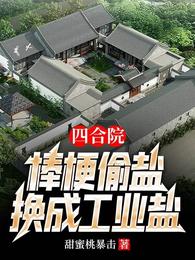 四合院：棒梗偷盐，换成工业盐
