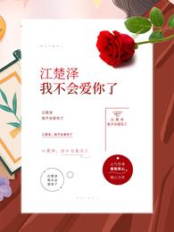 江楚泽，我不会爱你了