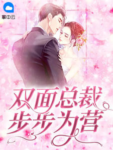 双面总裁步步为营