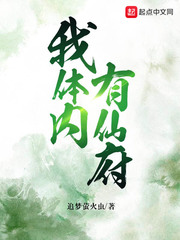 追梦萤火虫小说免费阅读