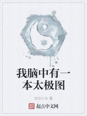 我脑中有一本太极图