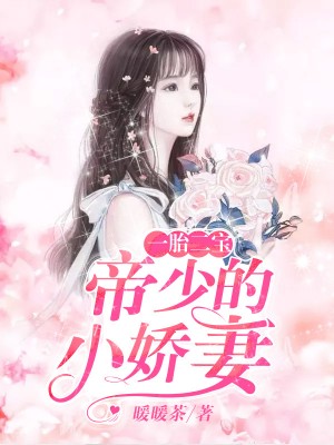 一婚二宝：帝少宠妻无节制
