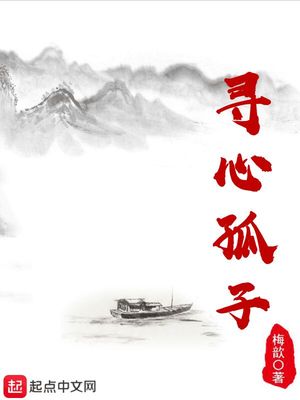 寻心孤子