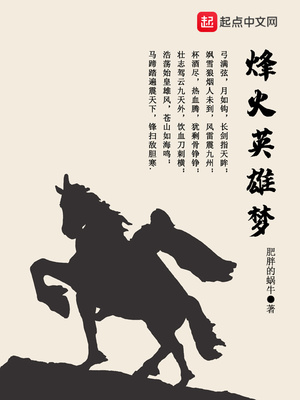 烽火英雄梦