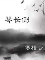 青山无弦之琴长侧