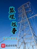 监理往事