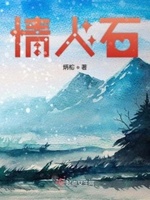 武书记记