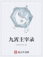 九霄主宰录