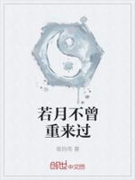 若月不曾重来过
