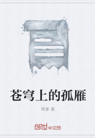 苍穹上的孤雁