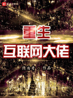 重生IT之王