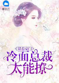 错惹豪门：冷面总裁太能撩
